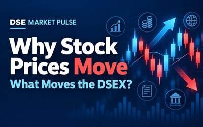 Why Stock Prices Move and What Moves the DSEX